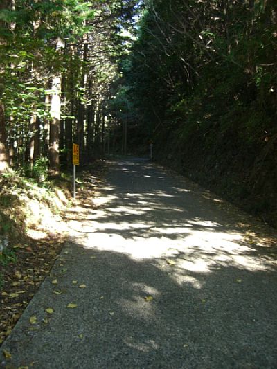 f0169012_14411260.jpg