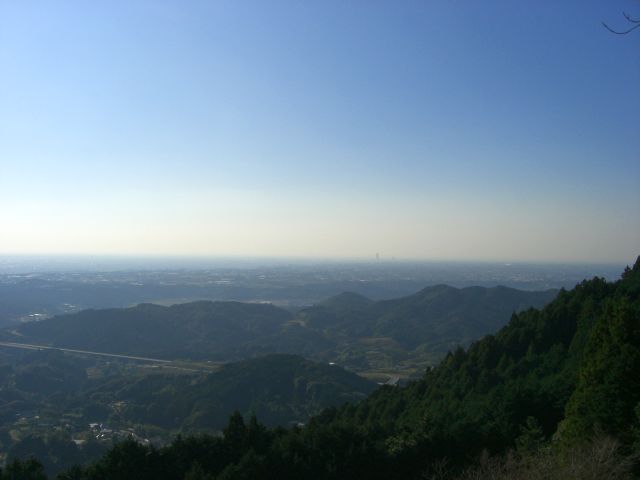 f0169012_144898.jpg