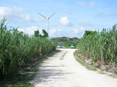 d0004214_0233090.jpg