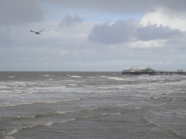 e0114020_1549276.jpg