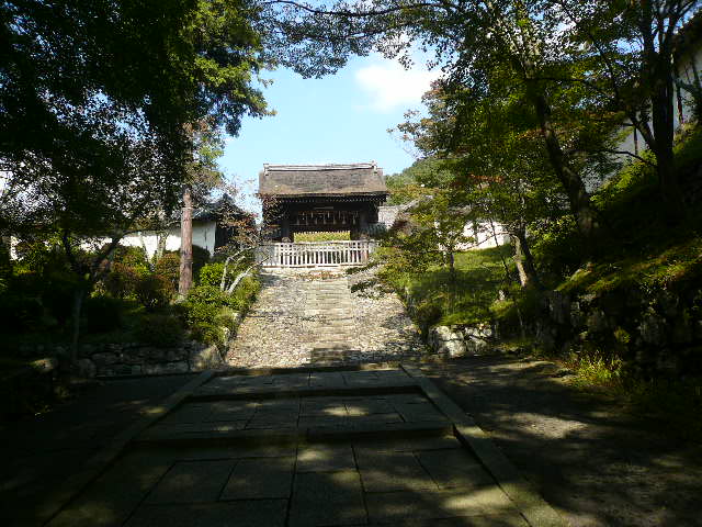 f0163920_22535268.jpg