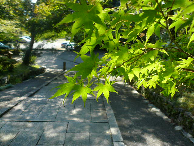 f0163920_22541355.jpg