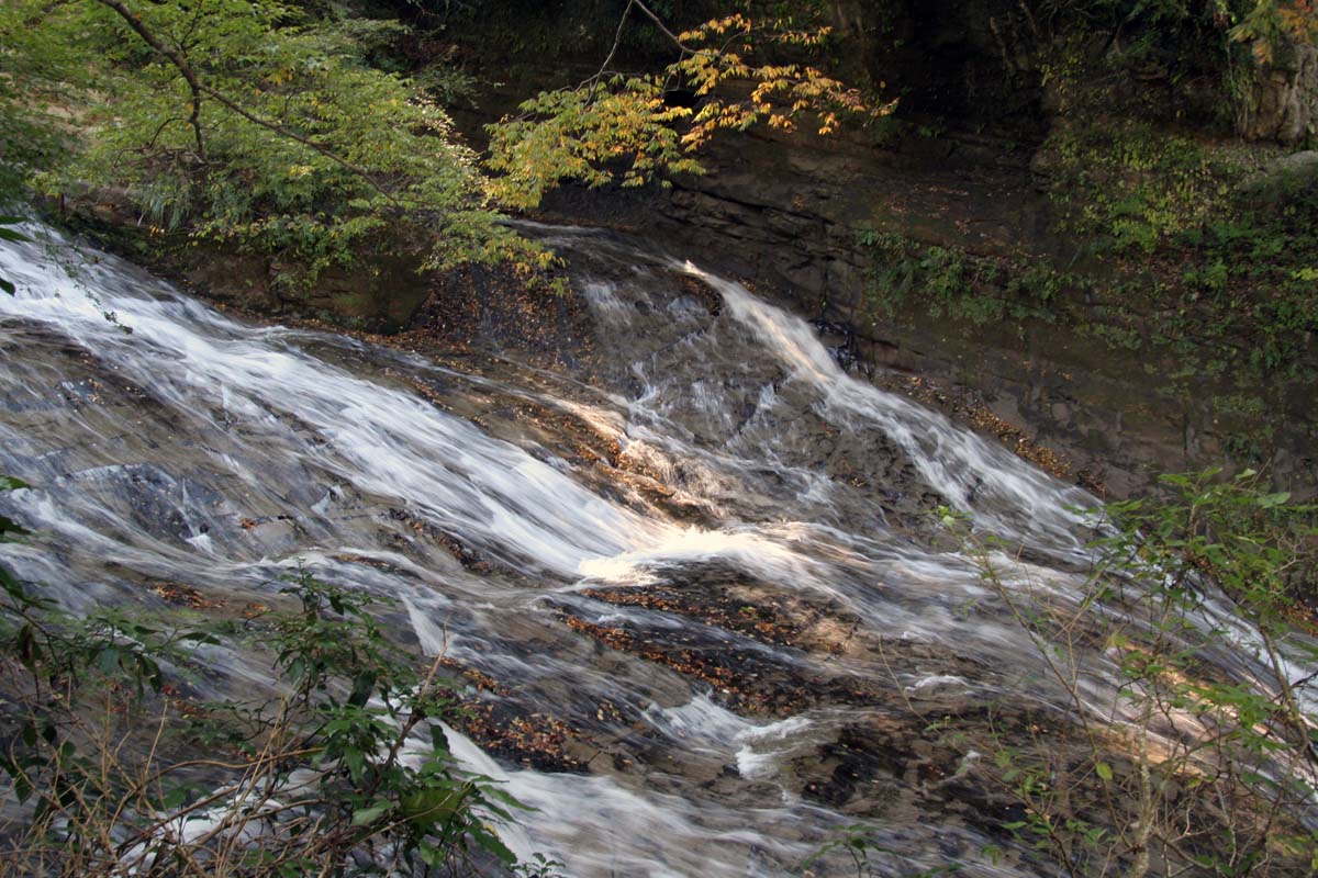 f0186021_21425167.jpg
