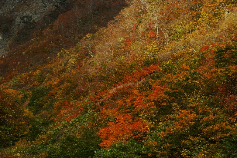 b0062024_17132064.jpg
