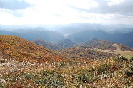 c0136324_20485445.jpg
