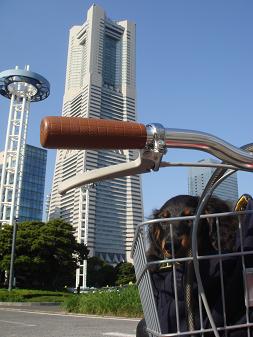 f0192425_19185371.jpg