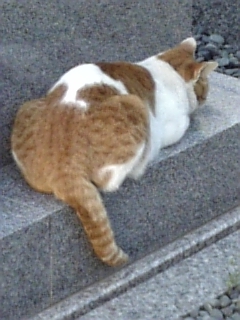 f0028132_22504472.jpg