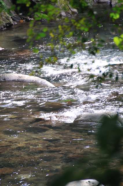 c0133133_16143964.jpg