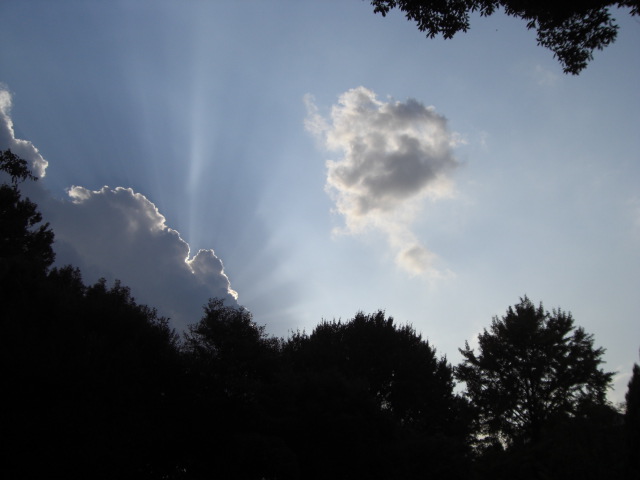 e0081334_3213699.jpg