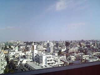 b0060042_235293.jpg