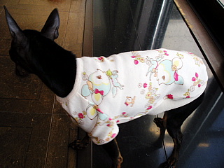 c0123149_1226449.jpg