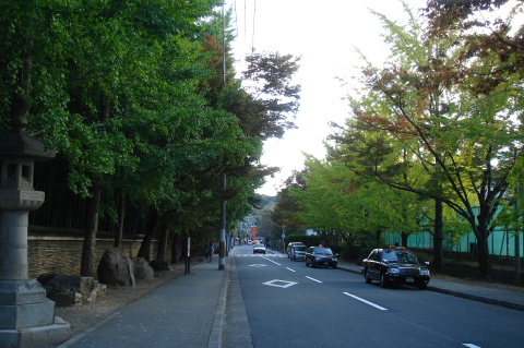 a0024250_2384733.jpg