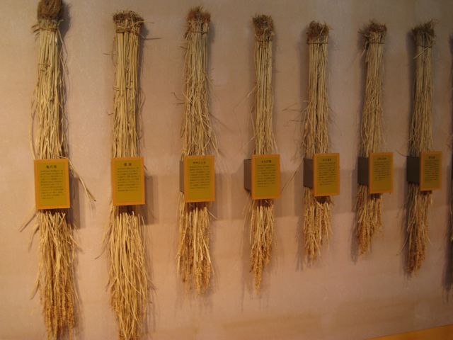 d0081650_1821030.jpg