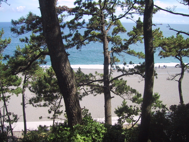 f0046250_1119332.jpg