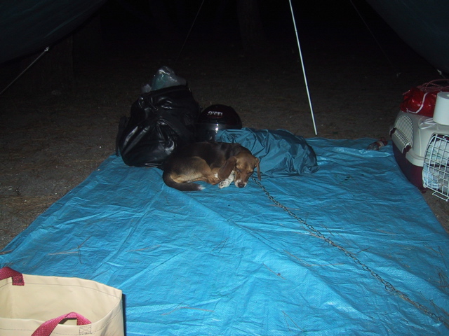 f0046250_13143867.jpg