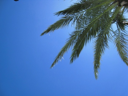 c0043751_1313056.jpg