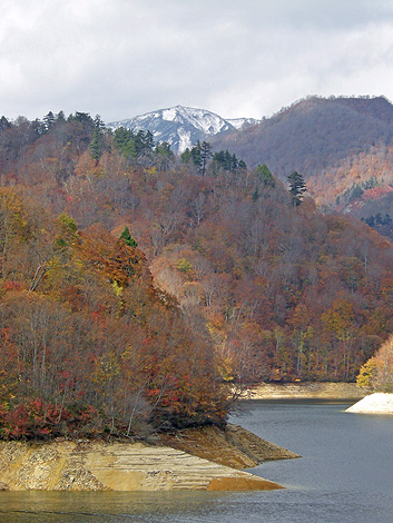 a0001354_13322117.jpg