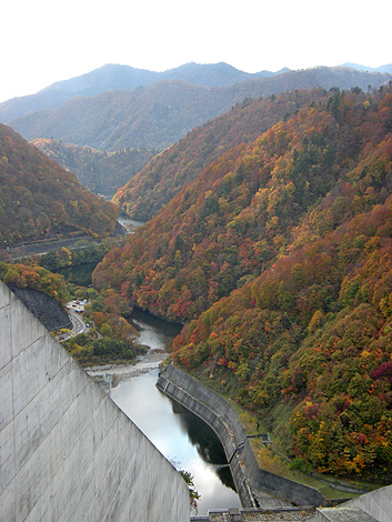 a0001354_21333765.jpg