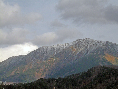 a0001354_21342078.jpg