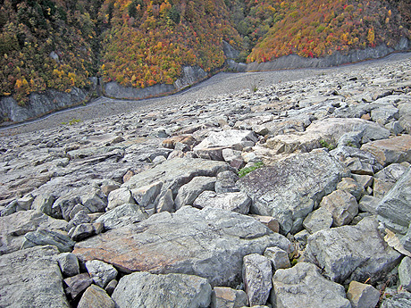 a0001354_2134417.jpg