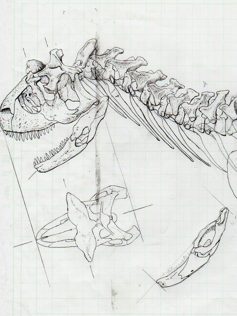 e0064457_044466.jpg
