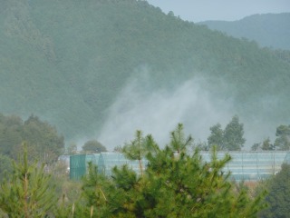 f0055264_2221990.jpg