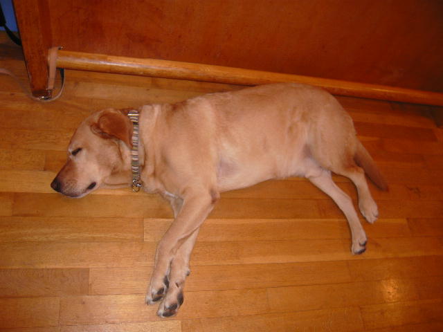 f0057565_10511380.jpg