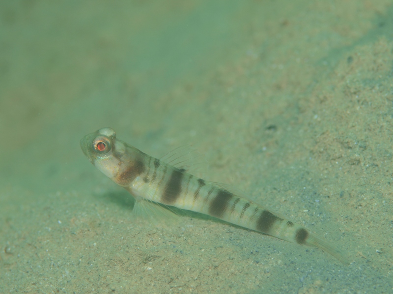 b0138768_6343468.jpg