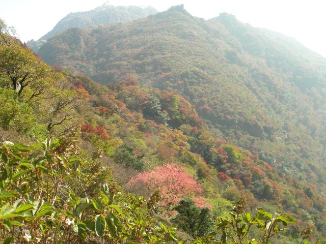 c0042869_17101129.jpg