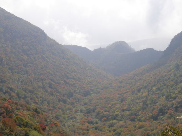 c0042869_17103361.jpg