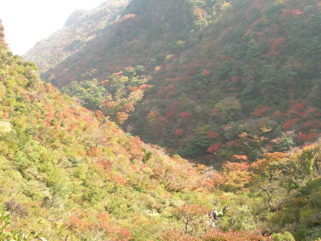 c0042869_1714249.jpg