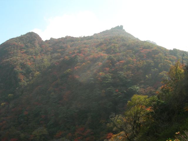c0042869_17162018.jpg
