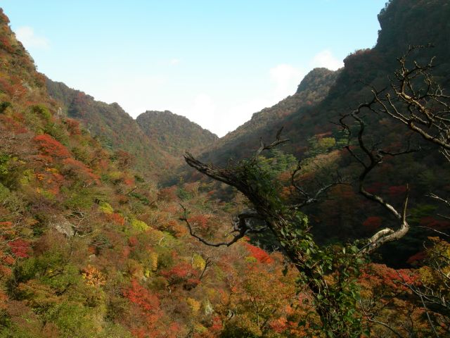 c0042869_1716521.jpg
