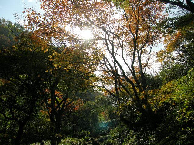 c0042869_17175350.jpg