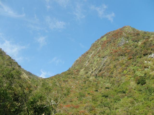 c0042869_1719358.jpg
