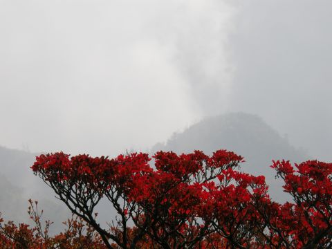 c0042869_17204225.jpg
