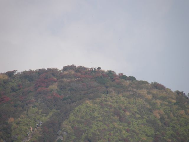c0042869_17263058.jpg