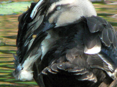 f0086169_904370.jpg