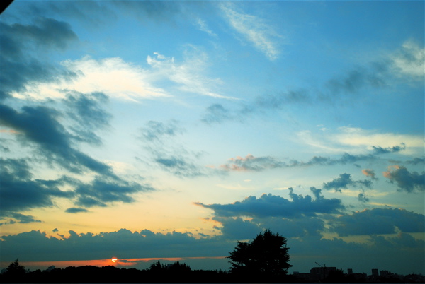 e0140171_1671369.jpg