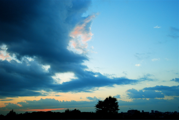 e0140171_167468.jpg