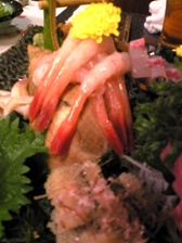 c0102375_135472.jpg