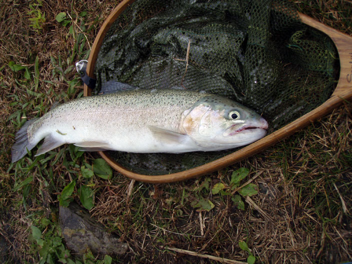 c0080180_7311885.jpg