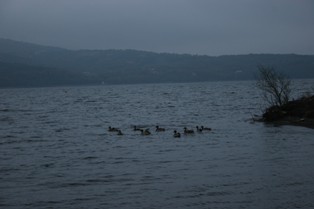 c0108981_2341132.jpg