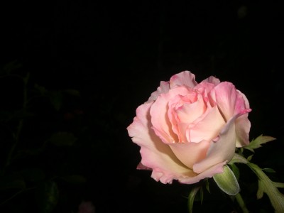 c0078586_2021447.jpg