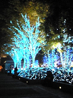 b0053091_2330219.jpg