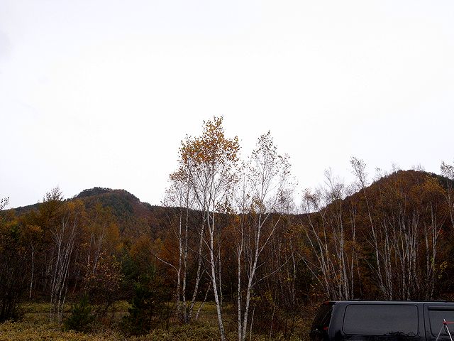 a0093592_19897.jpg