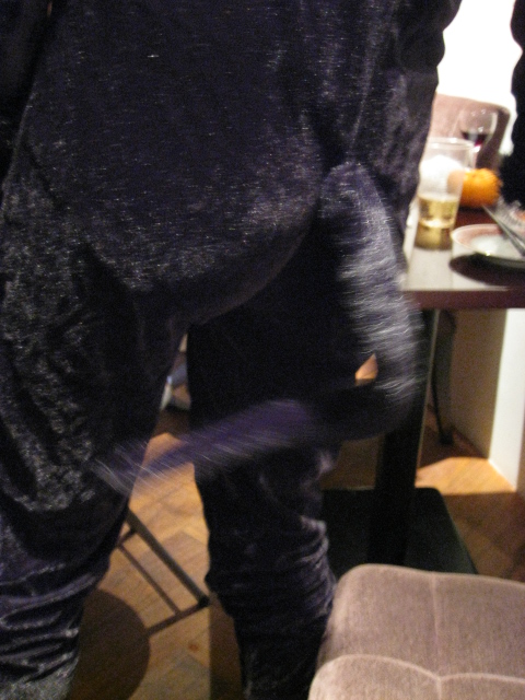 d0133693_1563673.jpg