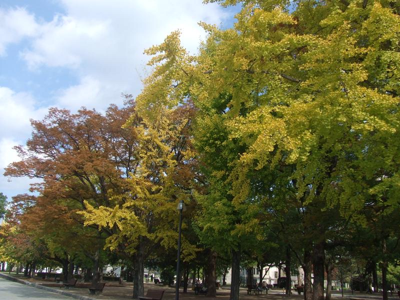 f0148595_23131749.jpg