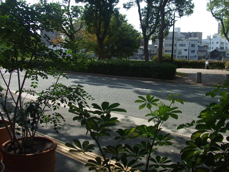 f0148595_23231315.jpg