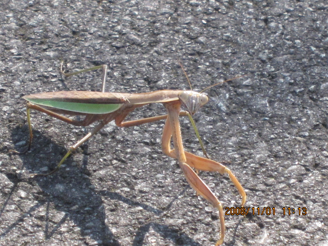 c0133096_1821943.jpg